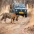 Best Places to Visit in Ranthambhore